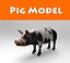 Schwein Modell