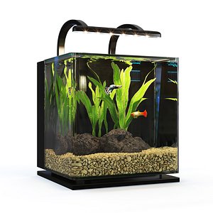 Contour Desktop MarineLande Aquarium 3D model