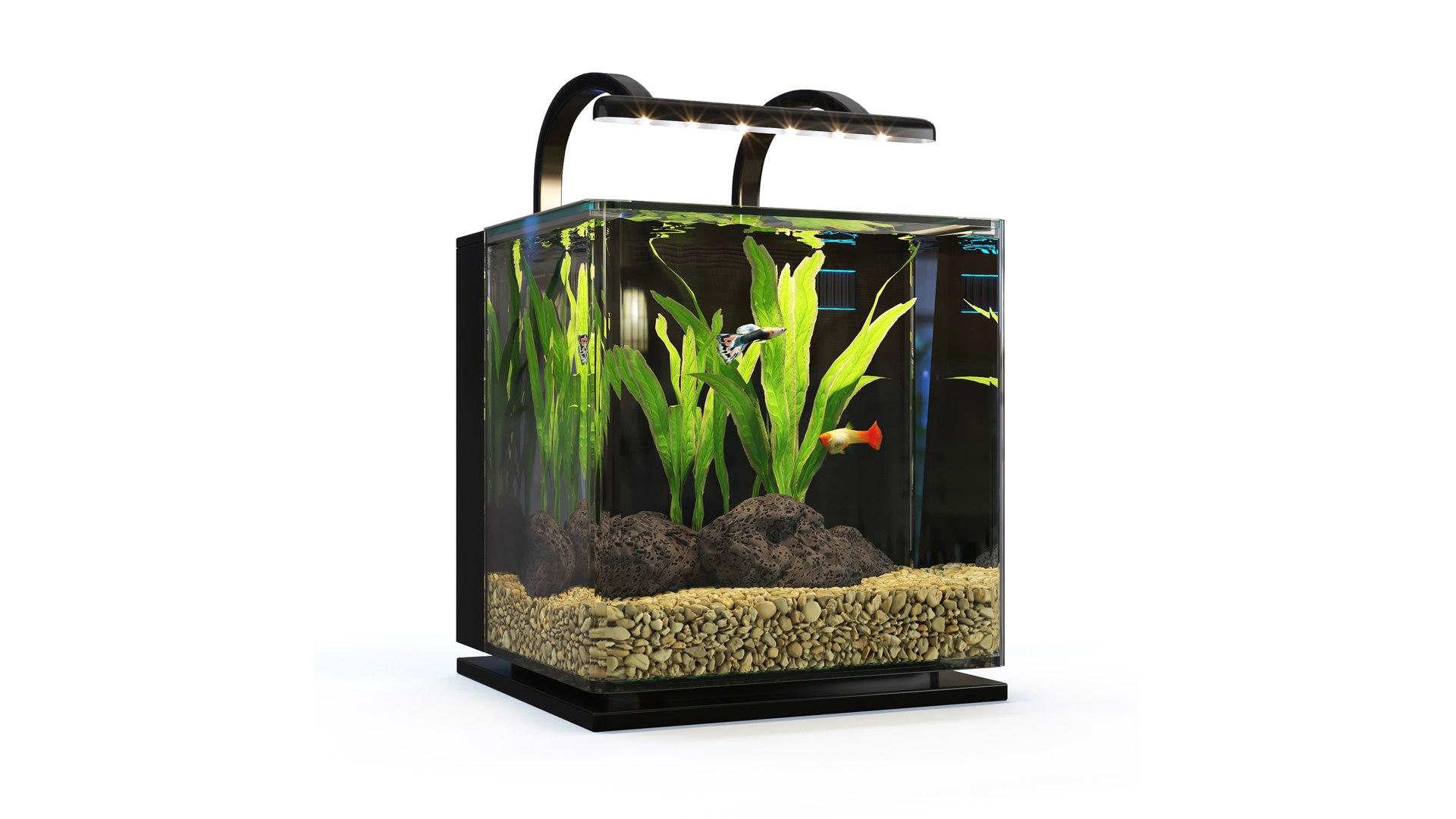 Contour Desktop MarineLande Aquarium 3D model https://p.turbosquid.com/ts-thumb/Ir/x6ulzQ/j0/tank_02_169/jpg/1650110528/1920x1080/fit_q87/2cb42aefb1de4694aca2b29966761ca8dbce3f90/tank_02_169.jpg