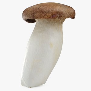 3D King Trumpet 03 model