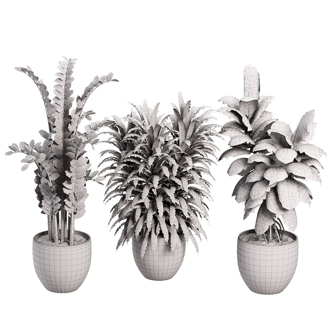 3D Indoor plent08 2015 https://p.turbosquid.com/ts-thumb/Is/QChxuW/Jc/07/jpg/1738892863/1920x1080/fit_q87/16f8814223732d3970d3a45f82a9324910c0437f/07.jpg
