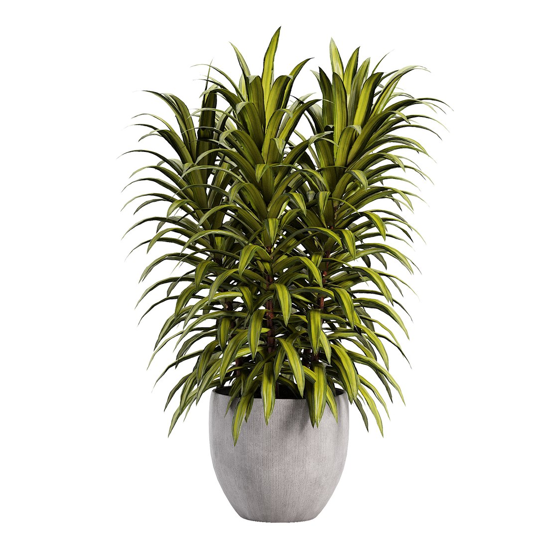 3D Indoor plent08 2015 https://p.turbosquid.com/ts-thumb/Is/QChxuW/SB/05/jpg/1738892865/1920x1080/fit_q87/54fbe60bb637218b98b77178794bec1681d9bd08/05.jpg