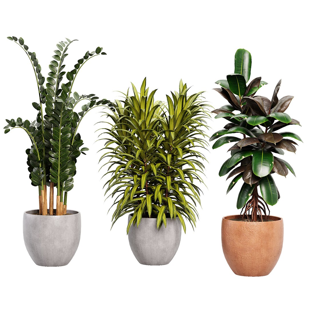 3D Indoor plent08 2015 https://p.turbosquid.com/ts-thumb/Is/QChxuW/Yl/03/jpg/1738892865/1920x1080/fit_q87/505850151382a0669e3bd8e1b4ffeaad050be695/03.jpg