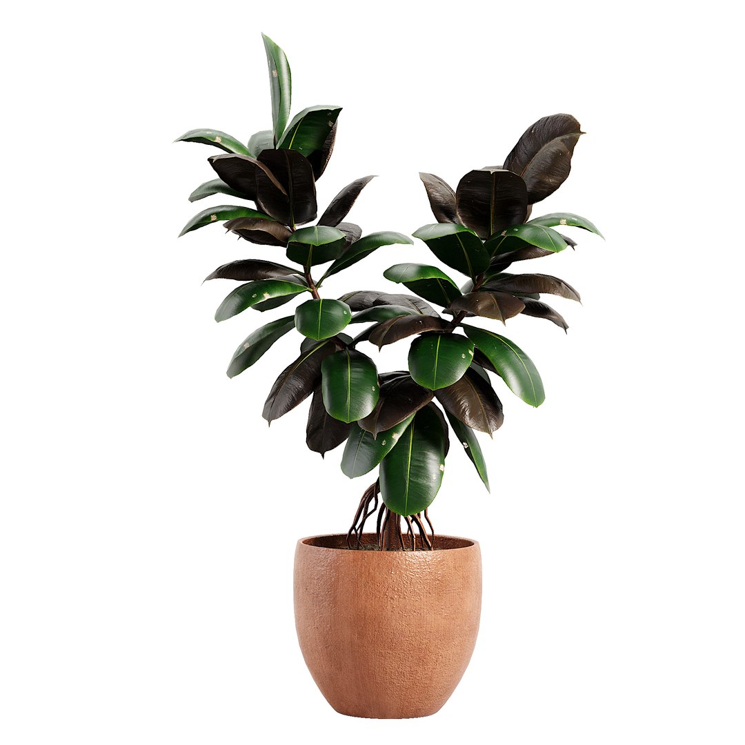 3D Indoor plent08 2015 https://p.turbosquid.com/ts-thumb/Is/QChxuW/hT/06/jpg/1738892866/1920x1080/fit_q87/affa2851e23301f8e7fc34a7fc3db83c9d0e3229/06.jpg