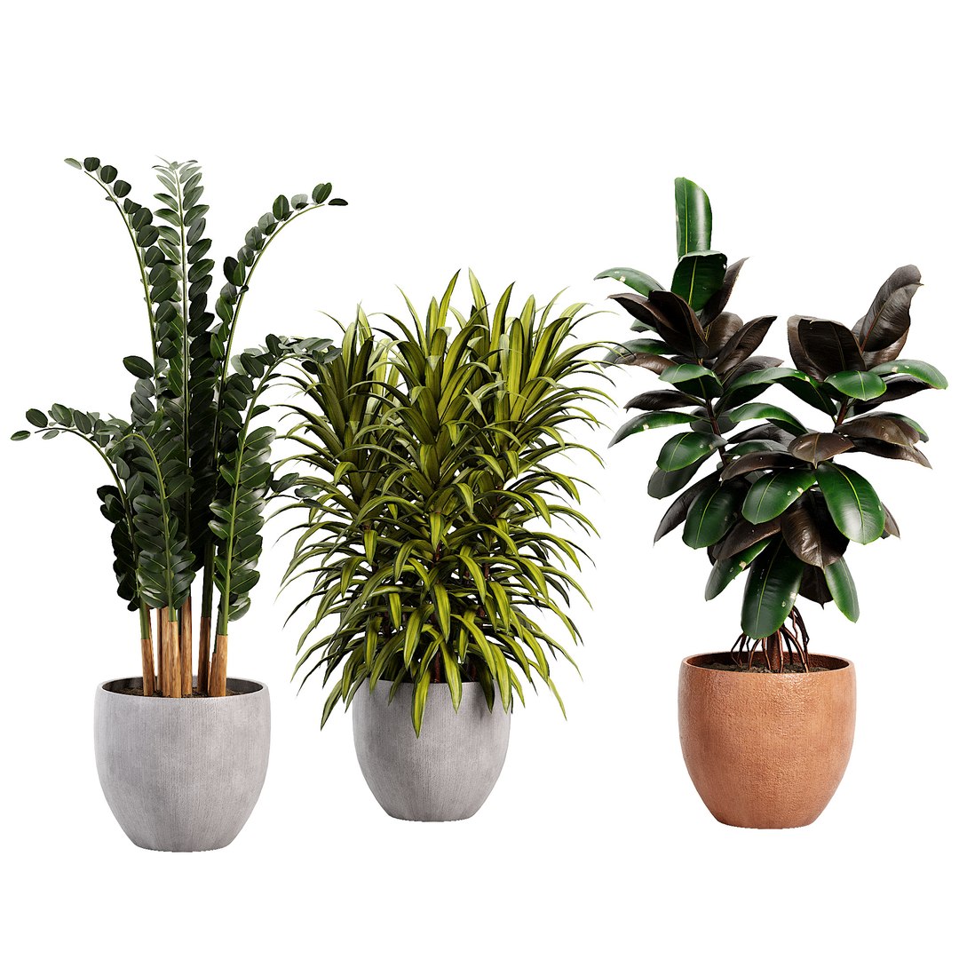 3D Indoor plent08 2015 https://p.turbosquid.com/ts-thumb/Is/QChxuW/hy/02/jpg/1738892869/1920x1080/fit_q87/30d93d78660e01086eb3db7223d582d67d51b1f7/02.jpg