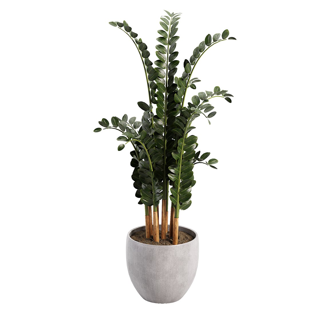 3D Indoor plent08 2015 https://p.turbosquid.com/ts-thumb/Is/QChxuW/t7/04/jpg/1738892864/1920x1080/fit_q87/79c3018de95ffc2bd516de62dd4a704cbfea1c92/04.jpg