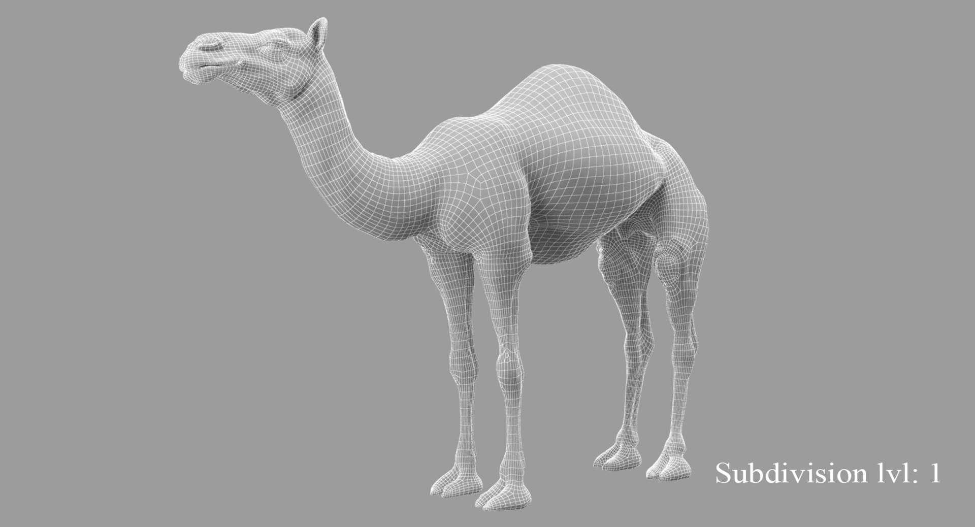 camel fur model https://p.turbosquid.com/ts-thumb/Is/Uoco1x/scYfho20/wire2/jpg/1497901005/1920x1080/fit_q87/8b7ae366dddb17923fa5498fc1c35cf7a92999d1/wire2.jpg