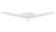3D model Northrop Grumman B-21 Raider Stealth Bomber