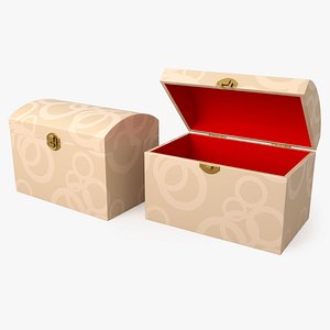 3D Chest model