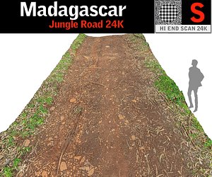 madagascar jungle road 24k 3D model