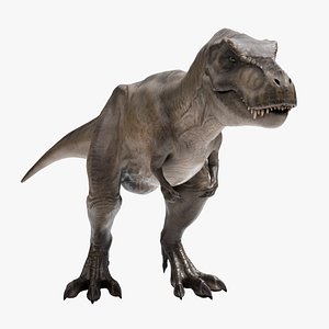 3D Tyrannosaurus Rex model