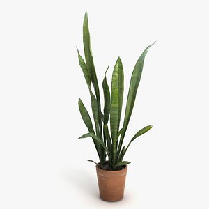 3D model potted plant