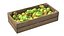 Colección de cajas de madera para frutas 50