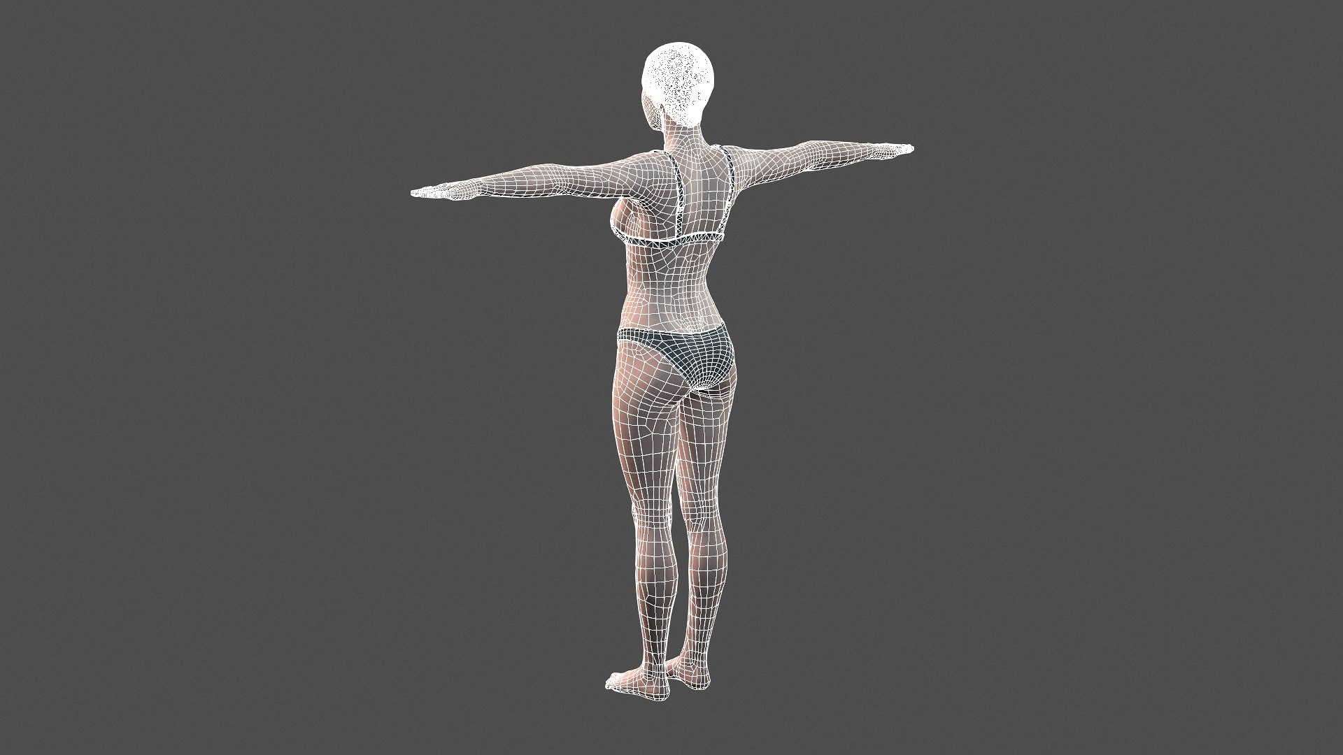 Character Rigged T 3D Model - TurboSquid 1700444