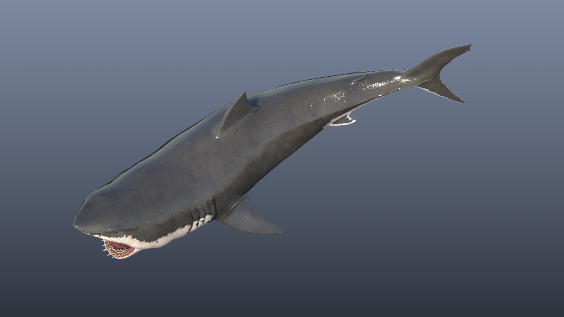 white great shark model https://p.turbosquid.com/ts-thumb/It/mF6eOo/0r/render_03/png/1613157195/1920x1080/fit_q87/476611d4035e70f613d682ccef220abc382e3bc7/render_03.jpg