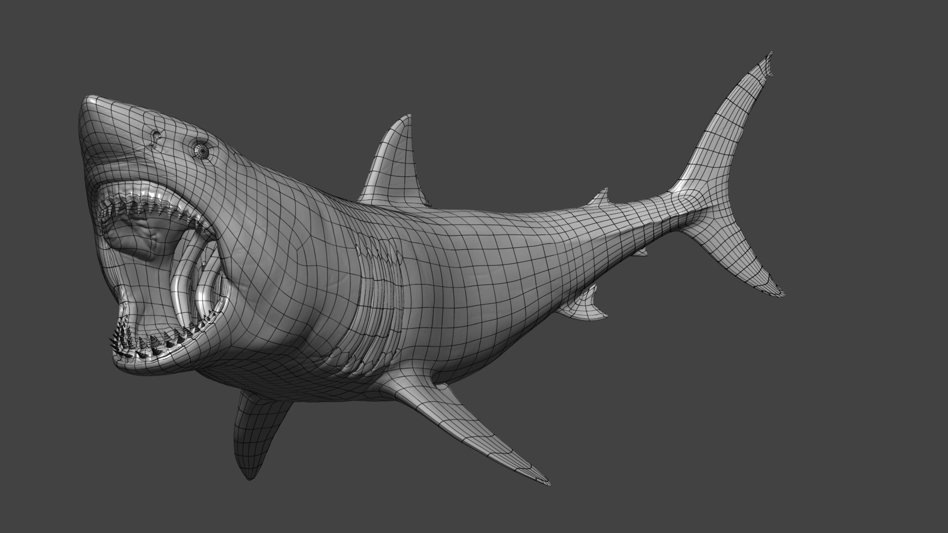 white great shark model https://p.turbosquid.com/ts-thumb/It/mF6eOo/sw/shark_wire_01/png/1613157245/1920x1080/fit_q87/fef267b96c70ed2ba6daeb5cc66039c0808fd2aa/shark_wire_01.jpg