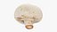 Coleção Champignon 2