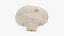 Coleção Champignon 2