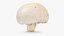 Coleção Champignon 2