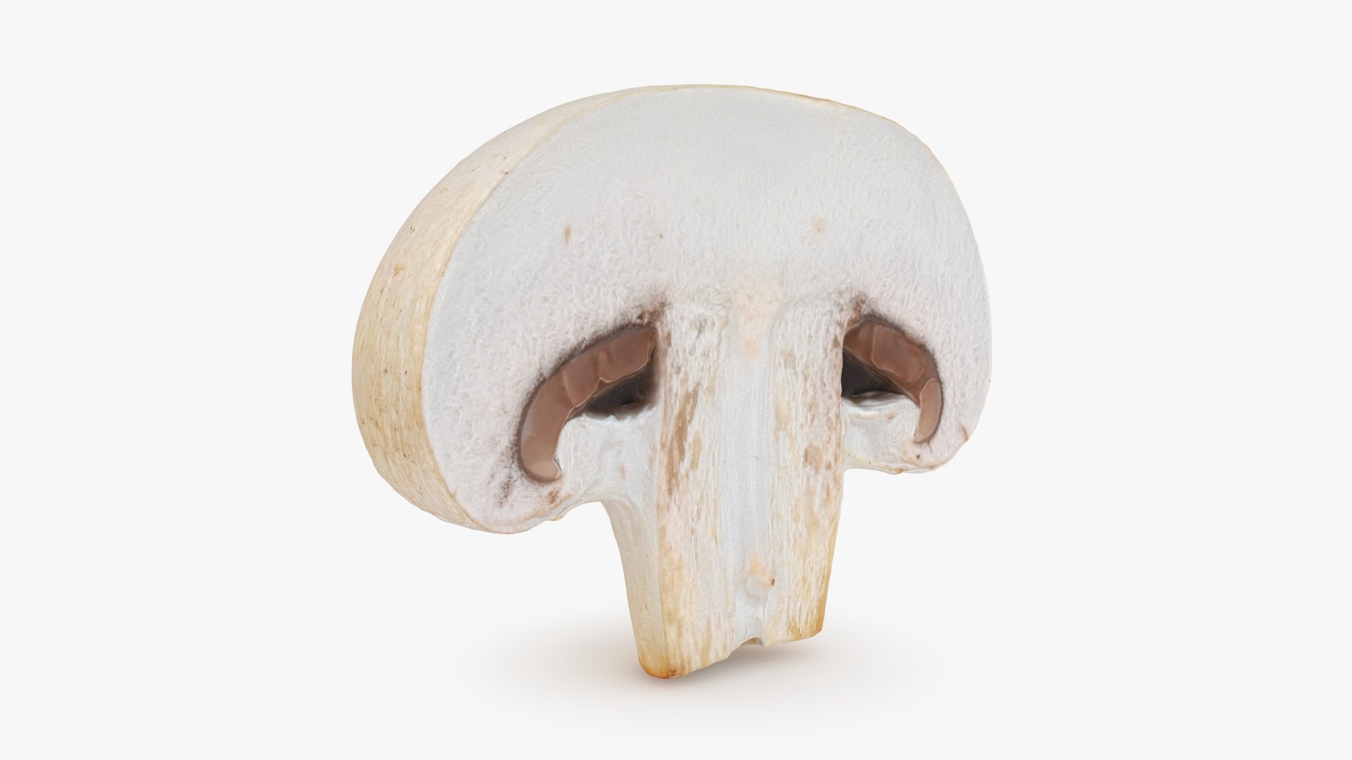 3D Champignon Collection 2 https://p.turbosquid.com/ts-thumb/It/rbw3jN/fn/champignonhalf_a0001/jpg/1719422856/1920x1080/fit_q87/1369c3f667b93ae6e360bc68f1aca0d329beecce/champignonhalf_a0001.jpg