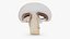 Coleção Champignon 2