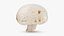 Coleção Champignon 2