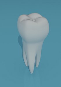 maya tooth