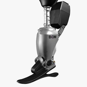 Prosthetic Leg