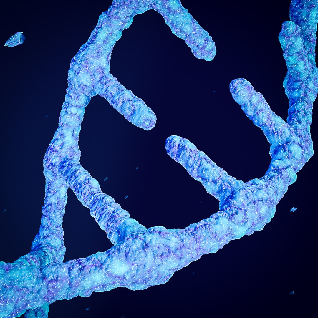 3D Dna - TurboSquid 1426656