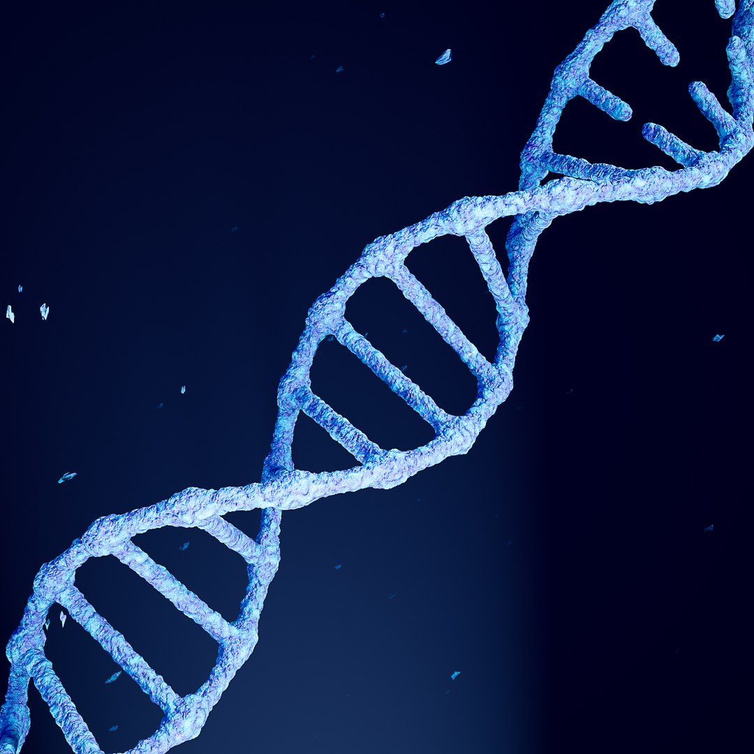 3D Dna - TurboSquid 1426656