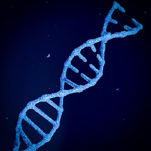 Animated DNA model