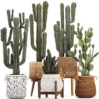 Collection of ornamental and exotic plants