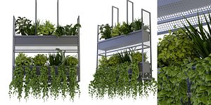 3D Collection plant vol 320 - blender model