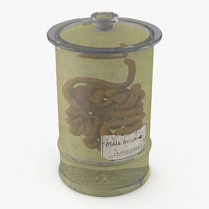 Human Small Intestine in Old Glass Jar