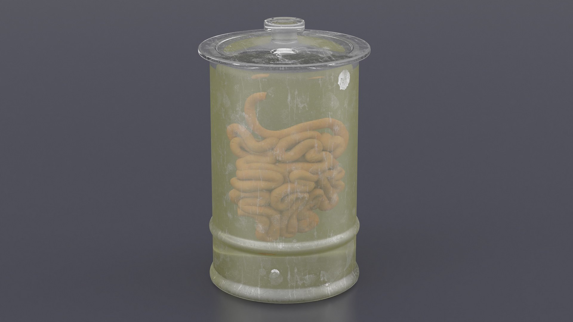 3D Human Small Intestine In Old Glass Jar Model - TurboSquid 2259029