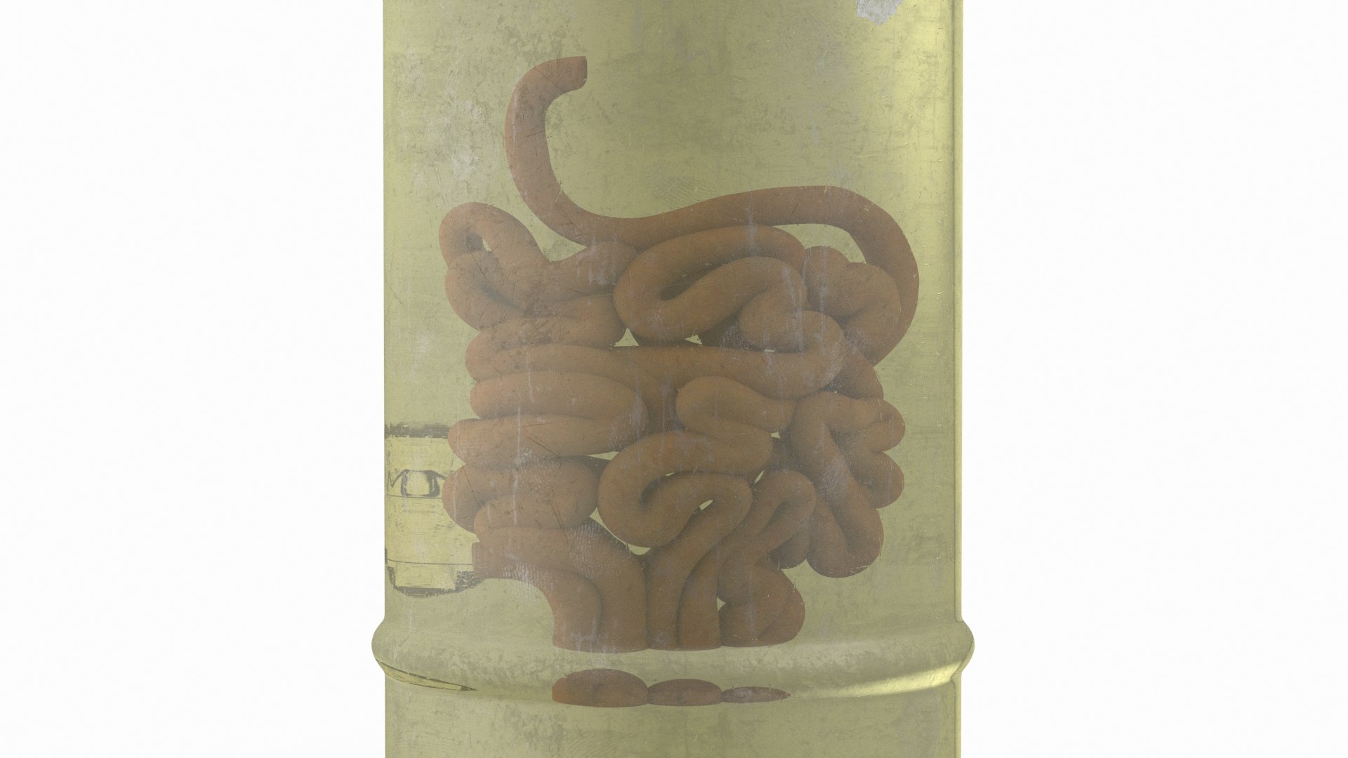 3D Human Small Intestine In Old Glass Jar Model - TurboSquid 2259029