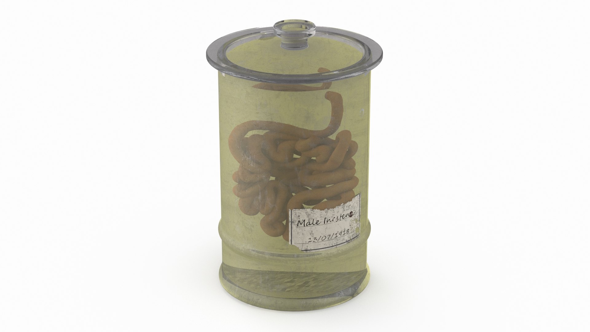 Human Small Intestine in Old Glass Jar 3D model preview