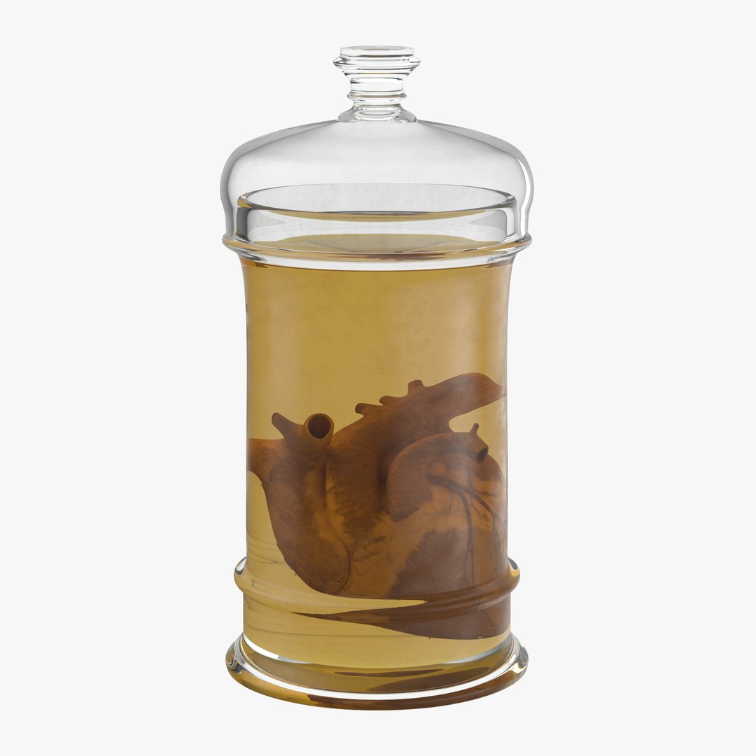 3D mad scientist model https://p.turbosquid.com/ts-thumb/Iu/rmcaRz/hbgArEfX/vintage_organ_jar_heart_thumbnail_square0000/jpg/1498807285/1920x1080/fit_q87/92068fbd04c3a077b4f30e447ea7268428f65227/vintage_organ_jar_heart_thumbnail_square0000.jpg