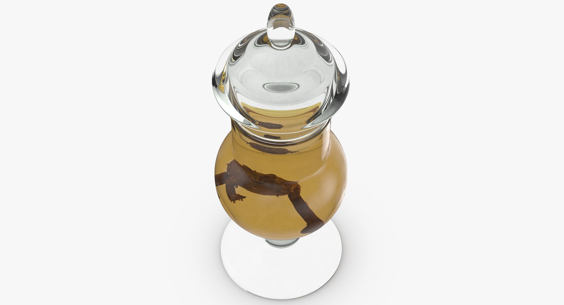 3D mad scientist model https://p.turbosquid.com/ts-thumb/Iu/rmcaRz/rxizqHBb/vintage_specimen_jar_frog_thumbnail_0005/jpg/1498807804/1920x1080/fit_q87/ac15a1ce77cf74b753dc9167bc383def691a2a8e/vintage_specimen_jar_frog_thumbnail_0005.jpg