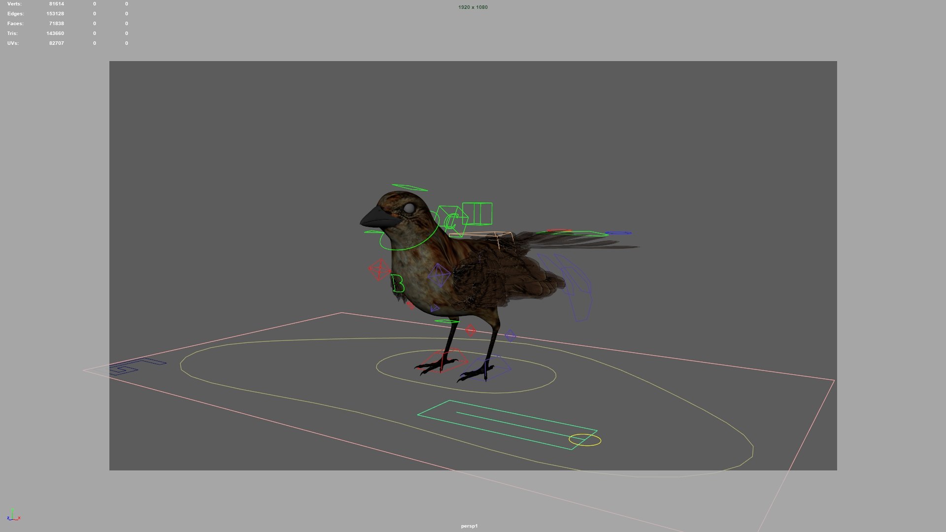 Bird Rig Model - TurboSquid 1282757