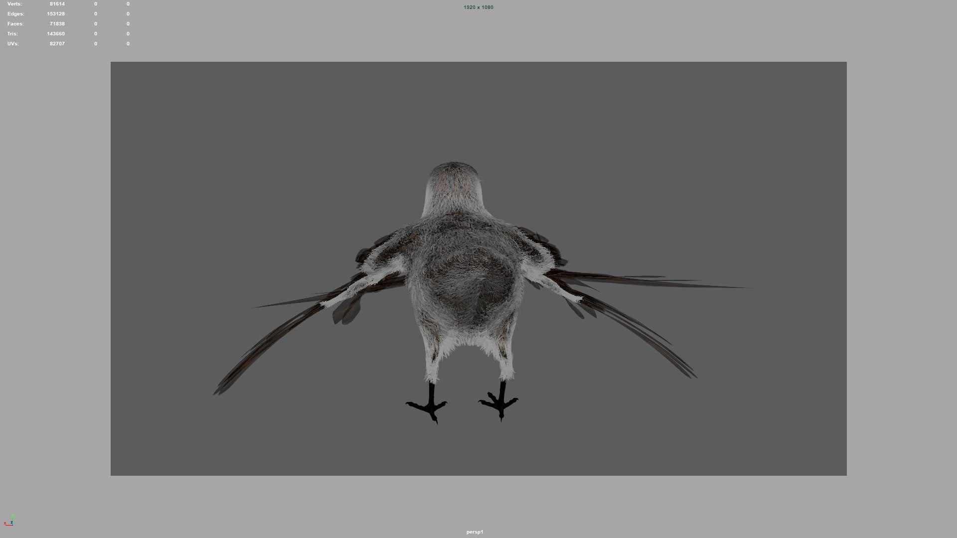 Bird Rig Model - TurboSquid 1282757