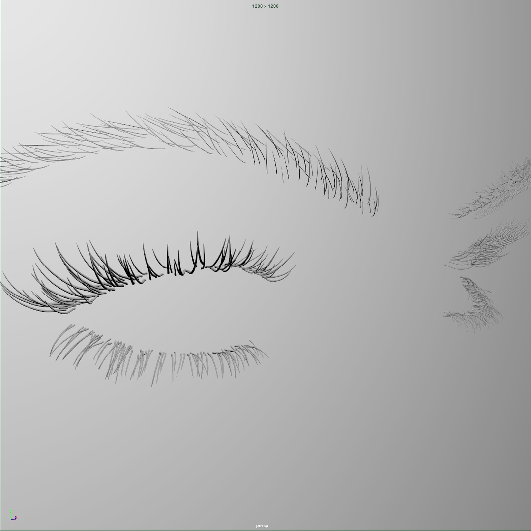 Eyelashes Eyebrows Rig 3d Fbx