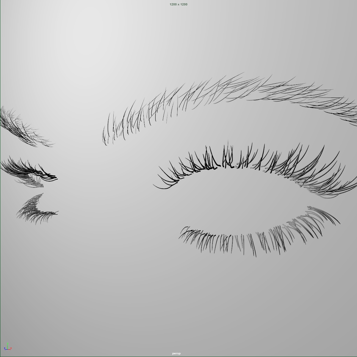 eyelashes eyebrows rig 3d fbx