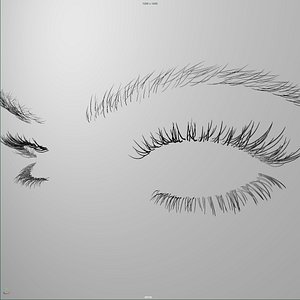 eyelashes eyebrows rig 3d fbx
