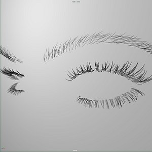 Eyelashes & Eyebrows Rigged