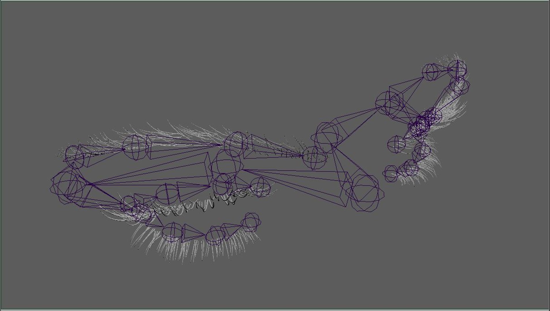 Eyelashes Eyebrows Rig 3d Fbx