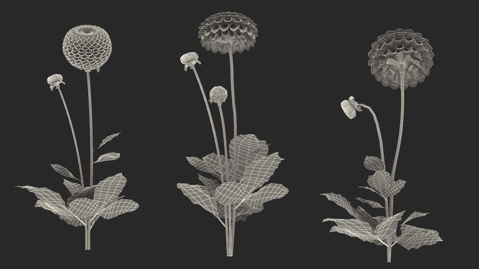 3D dahlia franz kafka pink https://p.turbosquid.com/ts-thumb/Iv/AO2tRF/1uYg0HgG/dahliafranzkafkapinksetc4dmodel026/jpg/1597707702/1920x1080/fit_q87/6b438f4ea9b2cb8e3babaa0926fd317c325c6c86/dahliafranzkafkapinksetc4dmodel026.jpg