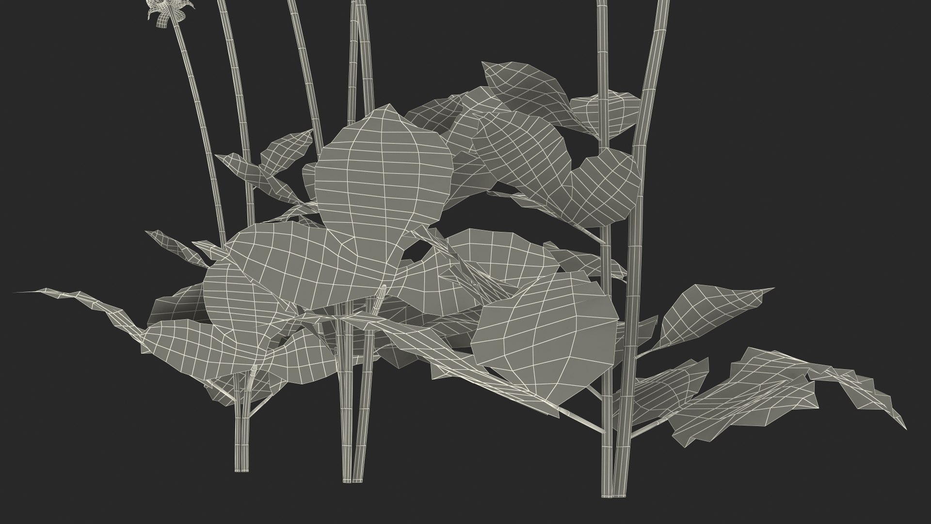 3D dahlia franz kafka pink https://p.turbosquid.com/ts-thumb/Iv/AO2tRF/E6Yej0Ty/dahliafranzkafkapinksetc4dmodel030/jpg/1597707743/1920x1080/fit_q87/e00f8909d7b51c810a6eb2686a408ade5ddfad89/dahliafranzkafkapinksetc4dmodel030.jpg
