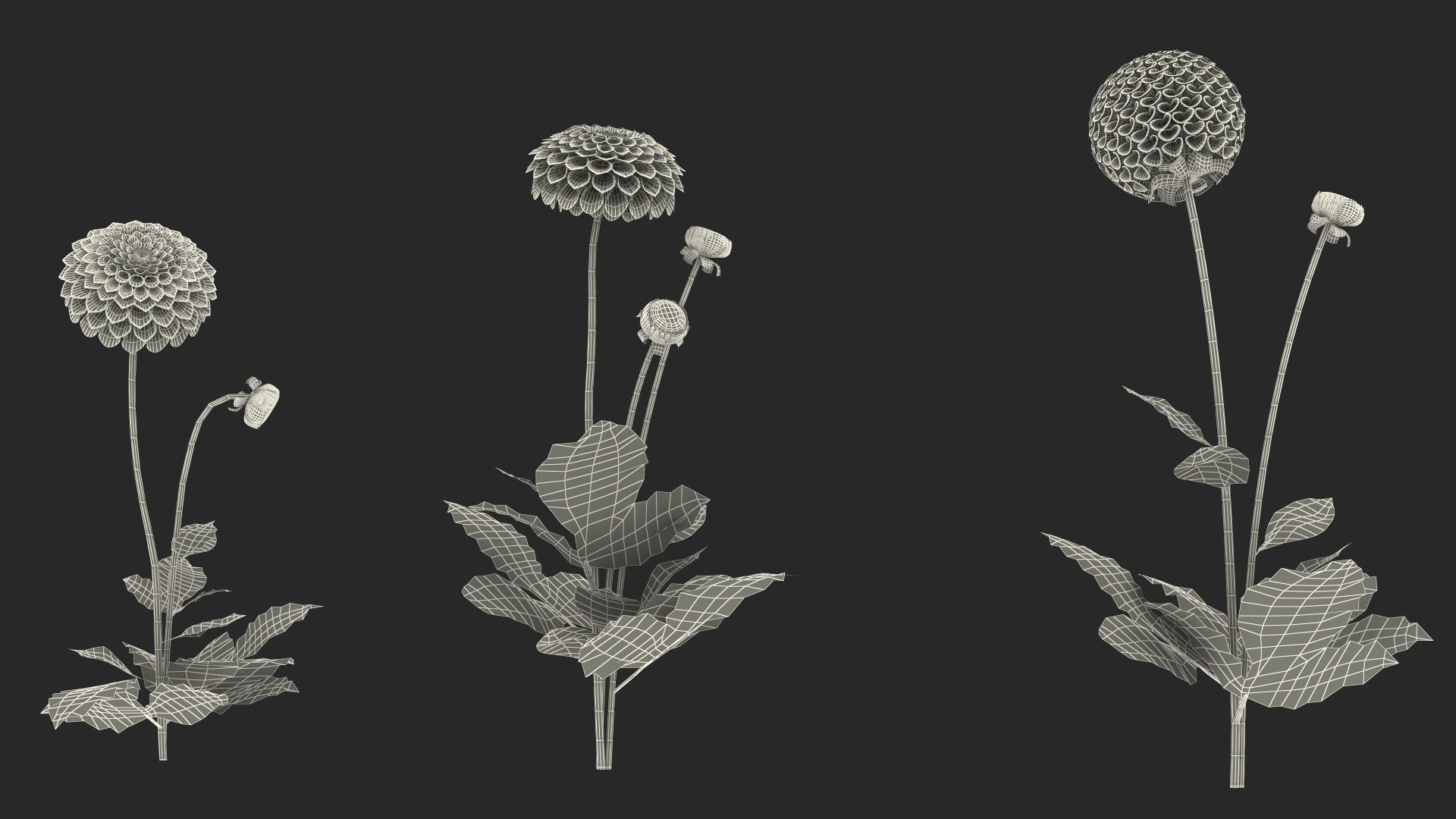 3D dahlia franz kafka pink https://p.turbosquid.com/ts-thumb/Iv/AO2tRF/E76r95dg/dahliafranzkafkapinksetc4dmodel027/jpg/1597707711/1920x1080/fit_q87/b3a5ab18c142ae13dfd0979bc509247eb26cfbc7/dahliafranzkafkapinksetc4dmodel027.jpg