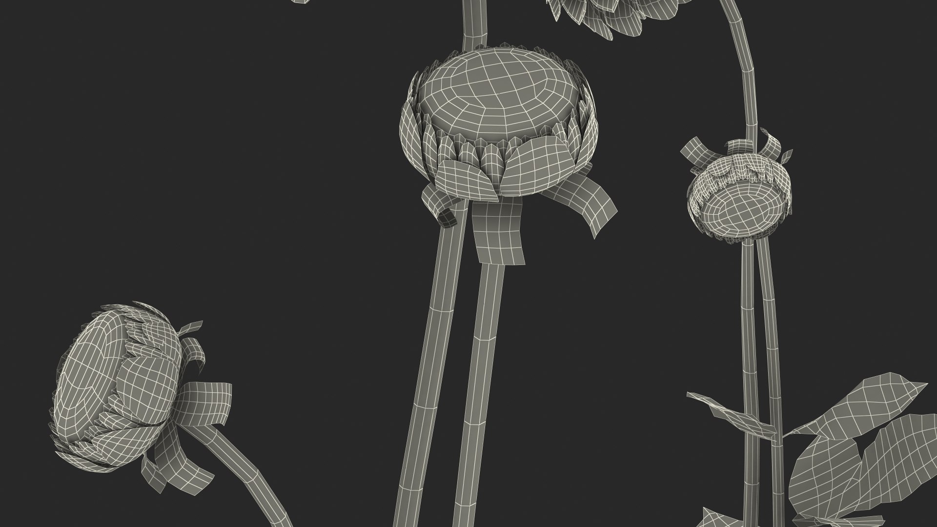 3D dahlia franz kafka pink https://p.turbosquid.com/ts-thumb/Iv/AO2tRF/EORSZ2Ox/dahliafranzkafkapinksetc4dmodel032/jpg/1597707764/1920x1080/fit_q87/be5cb98a07fff4576350f328a68ec7198171a584/dahliafranzkafkapinksetc4dmodel032.jpg